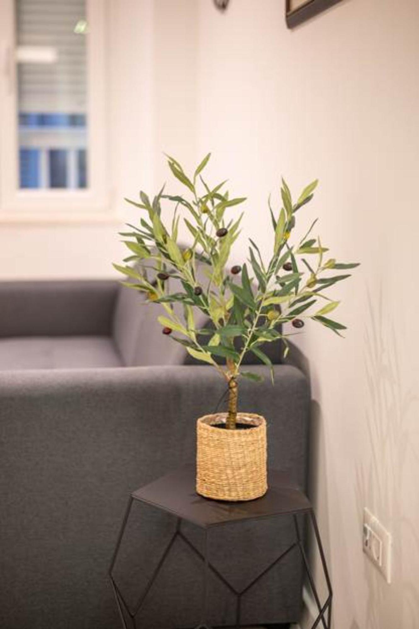 Appartement Canta I